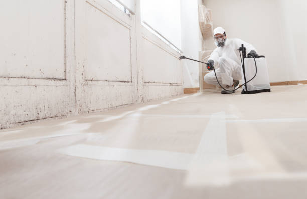 24/7 Emergency Black Mold Removal experts in Pineville, PA