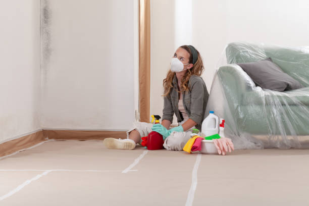 Reliable Black Mold Removal contractor in Pineville, PA by WQB Mold Removal